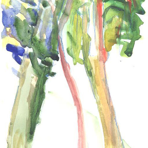 Alberi