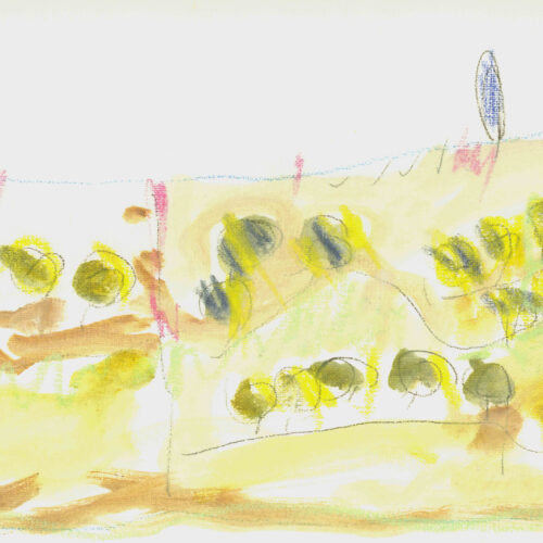 Cipressi